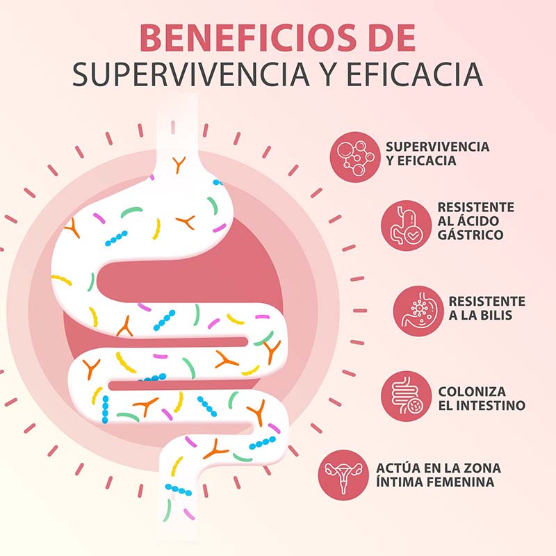 PROBIOTICOS MUJER Capsules - H - Probiotics Women Health recension och pris