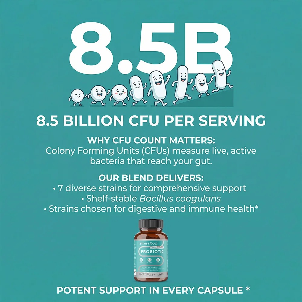 Probiotics 8.5 Billion CFUs -  - Probiotics Women Health recension och pris