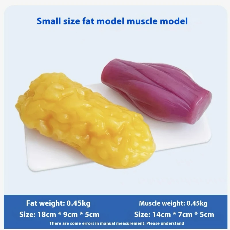 Human Muscle and Fat Replicas  - The Nutrition Fitness recension och pris